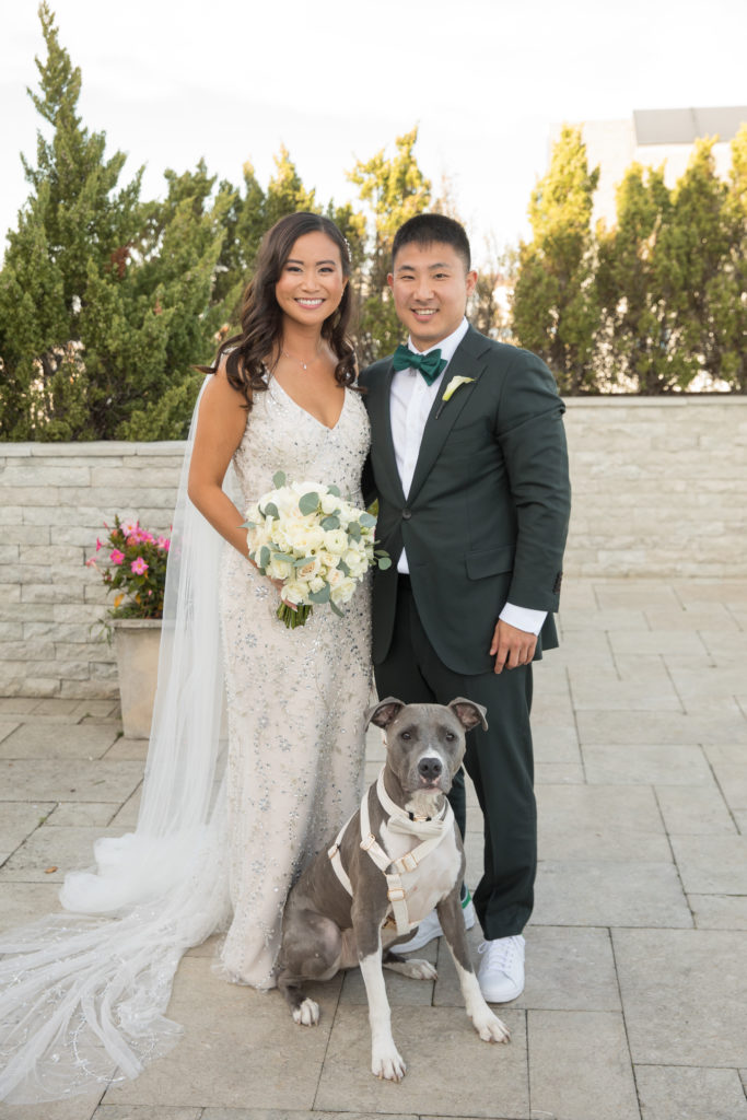 wedding day photo tips and tricks pawfect for you