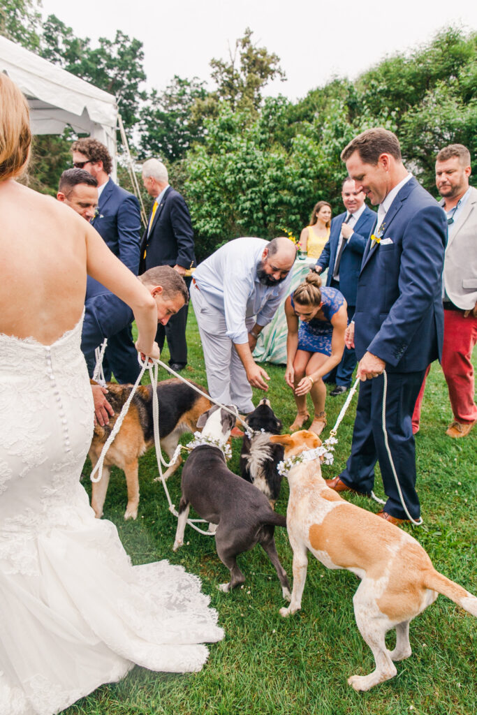 dogs included in cocktail hour
