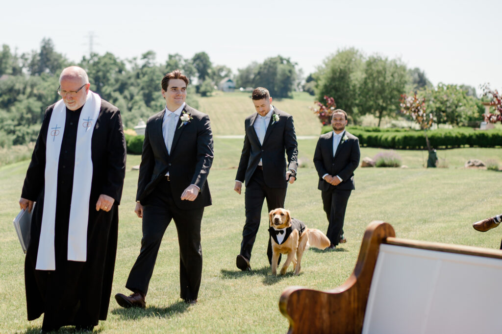 A dog wearing a bow tie escorted by a groomsman in the wedding ceremony.