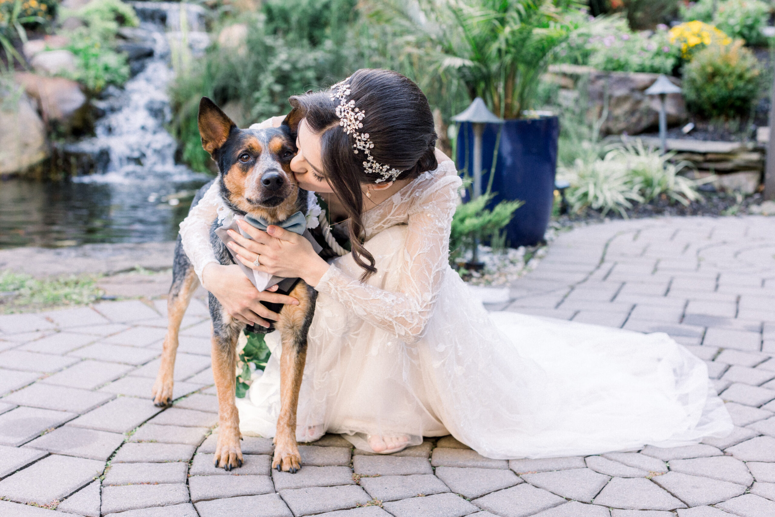wedding photos with your dog in a tuxedo