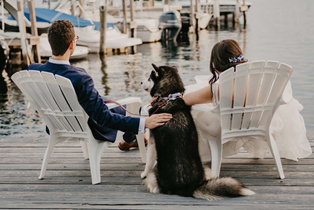 newly married couple relaxing with their husky dog during cocktail hour overlooking a lake.