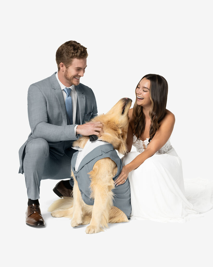 A bride and groom interact lovingly with their golden retriever, who is dressed in a gray dog tuxedo