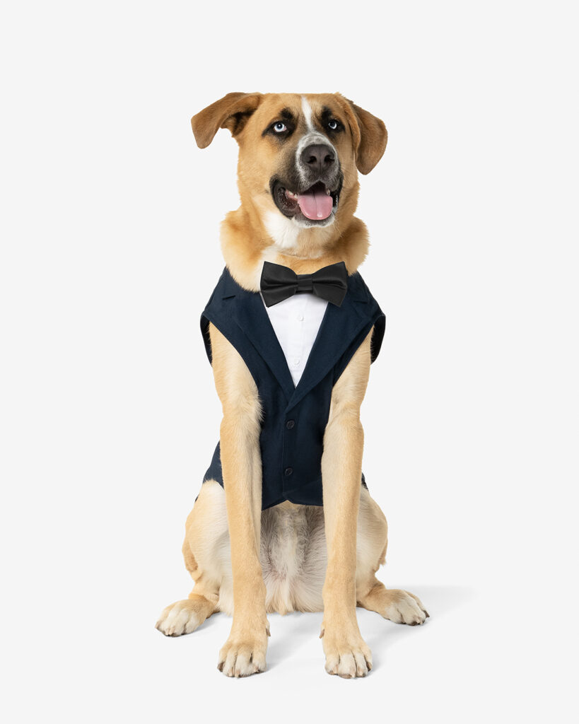 A dog wearing a tuxedo with a bow tie